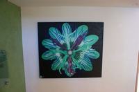 dsc00732.jpg