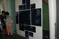 dsc00792.jpg